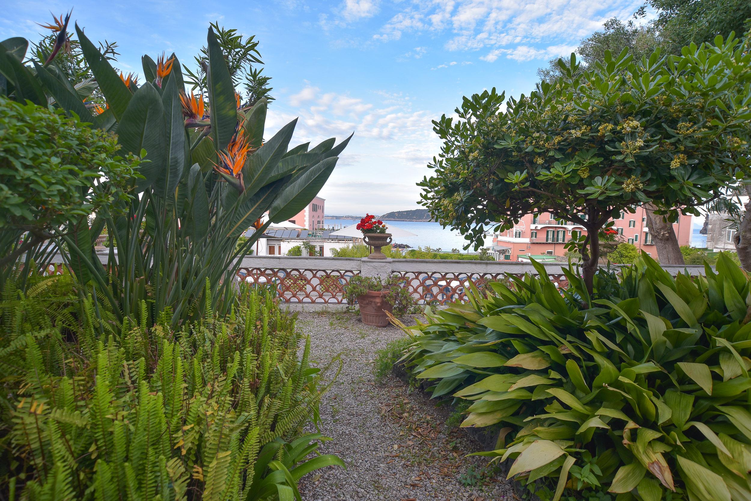 Villa Panoramica - Ischia Ponte Exterior foto