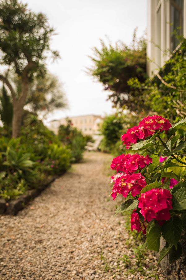 Villa Panoramica - Ischia Ponte Exterior foto